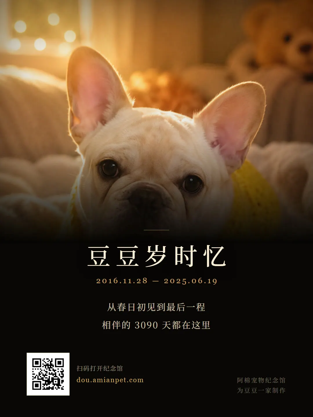 《豆豆岁时忆》封面，豆豆望向海面上的一点光