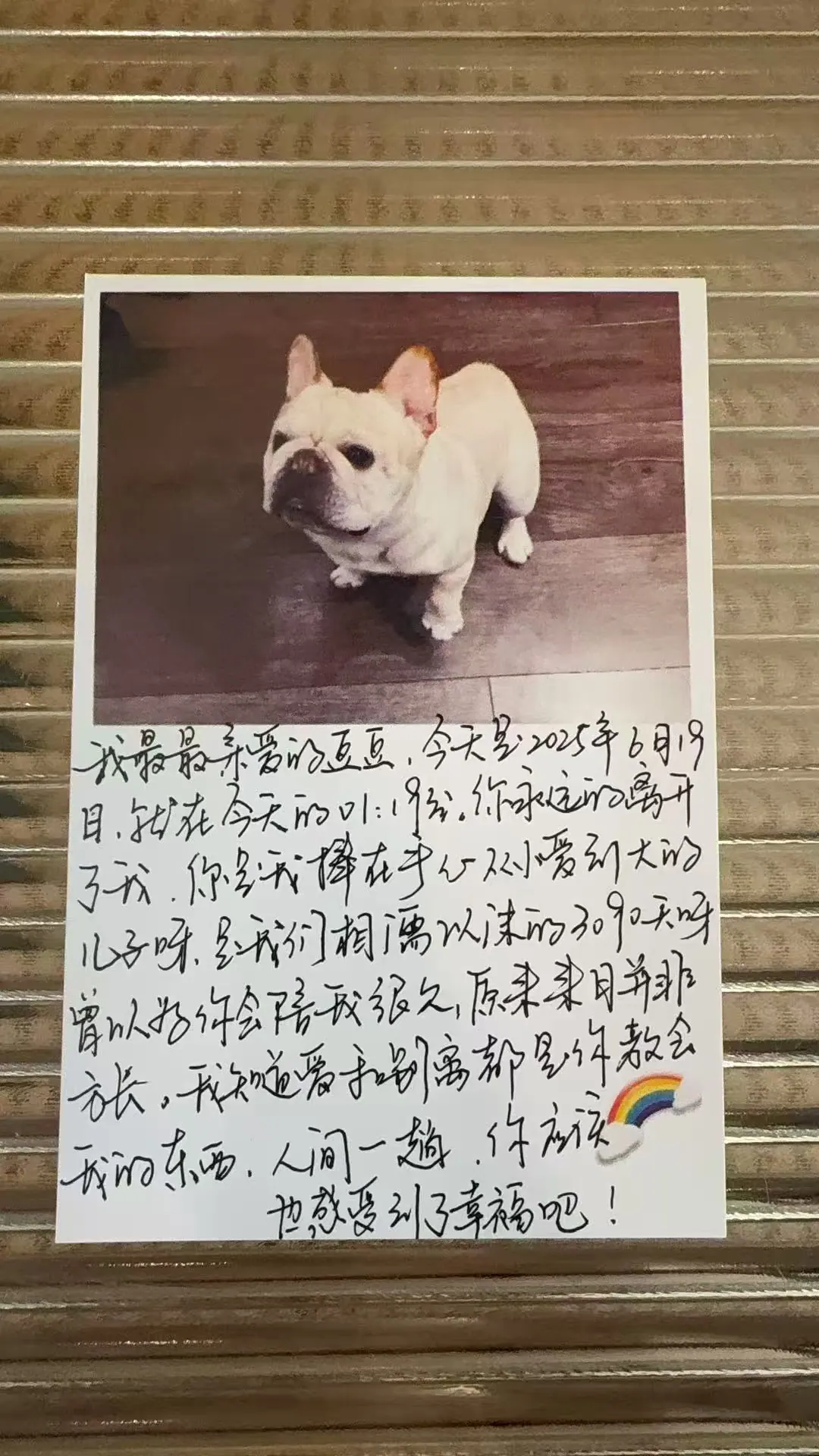 《没有收件人的信》封面，桌上摊开的信纸与笔