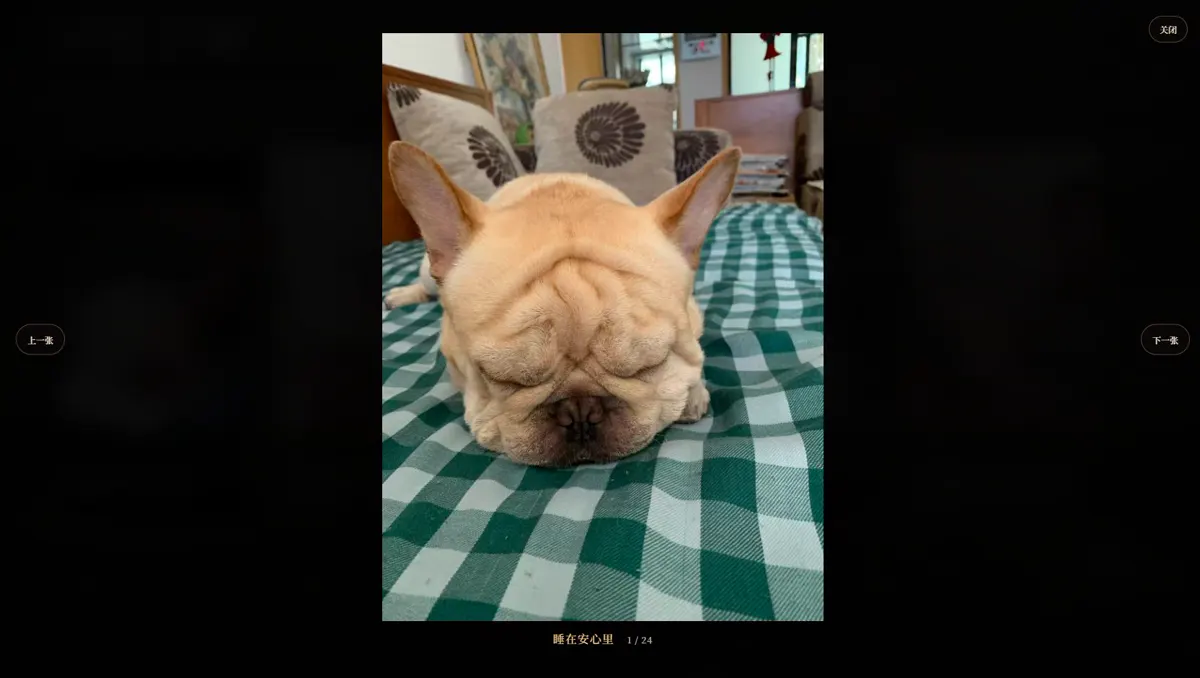 《豆豆岁时忆》的照片浏览界面，豆豆趴在自己的小床上睡觉